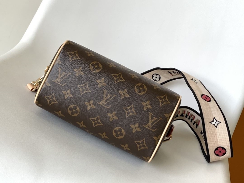 LV Speedy Bags